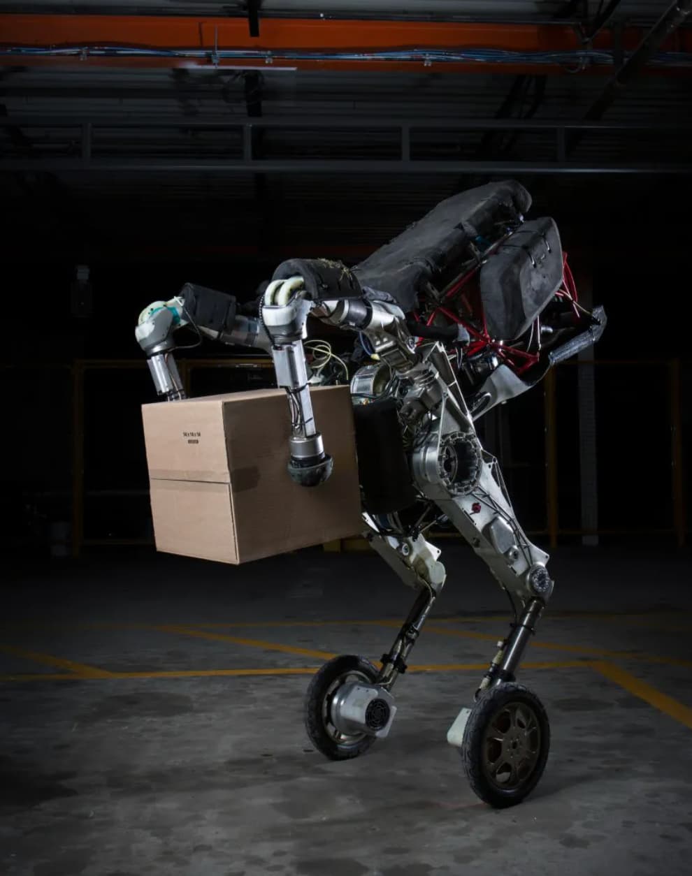 boston dynamics handle box